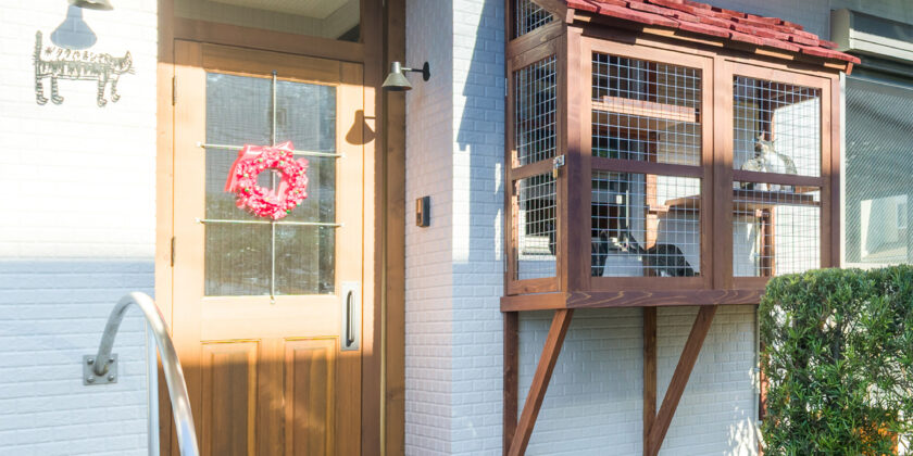 名古屋市中川区　ねこちゃんが快適に暮らせる地域猫施設